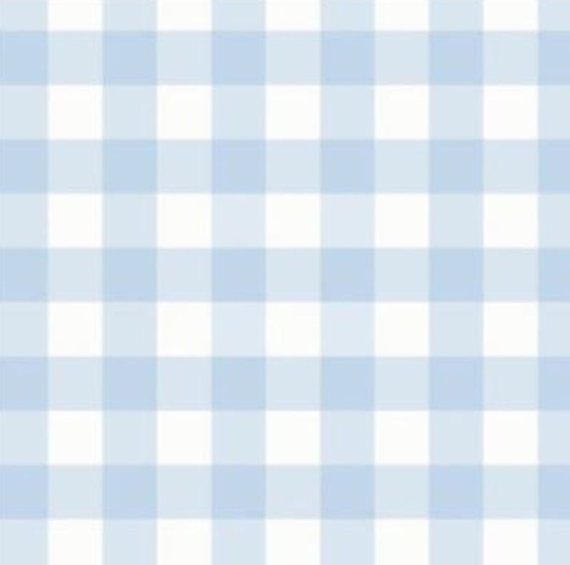 Blue and white checkered pattern
Light Blue Gingham - The Creative Raccoon