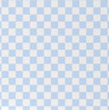 Light Blue & white checkered - the creative raccoon