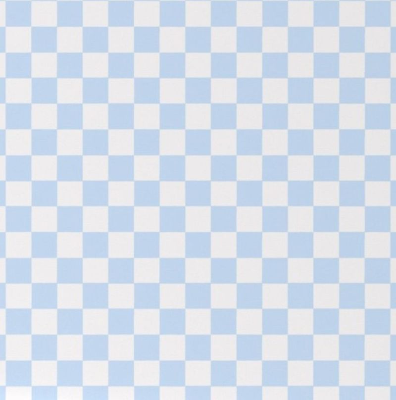 Light Blue & white checkered - the creative raccoon