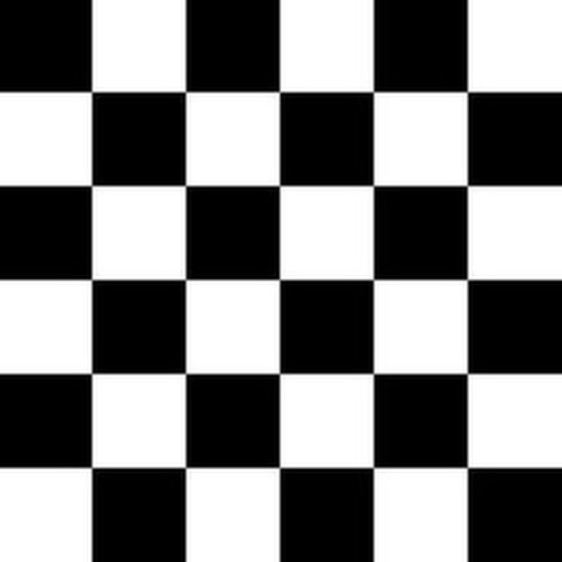 Black and white checkered pattern
Racing Check - The Creative Raccoon