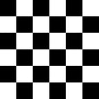 Black and white checkered pattern
Racing Check - The Creative Raccoon